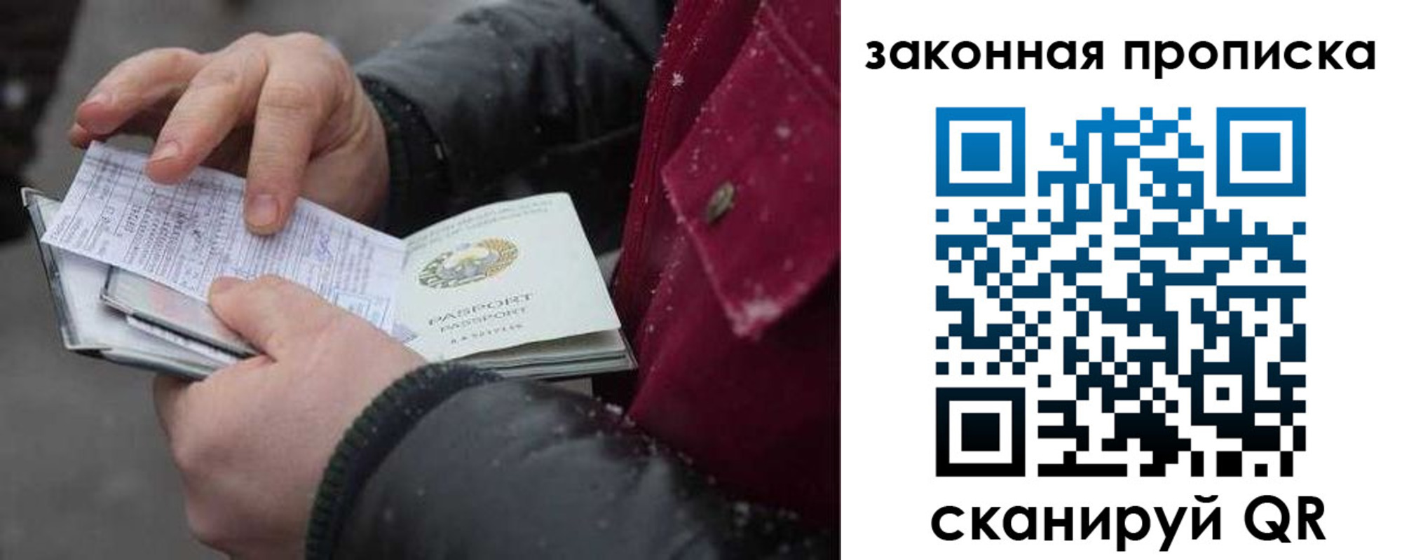 прописка поиск в Дорогобуже